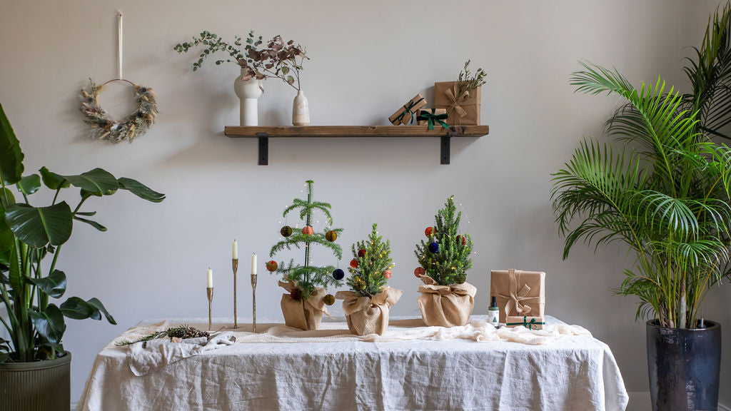Christmas Trees & Gifts Collection