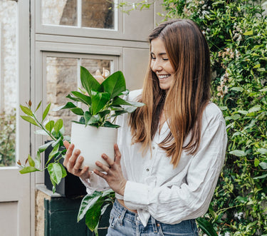 Gifts for Plant Lovers - Leaf Envy