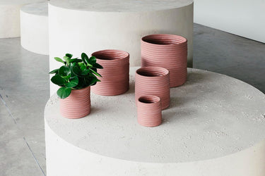 Up to 50% Off Limited Edition Pots | Indoor Plant Pot Sale