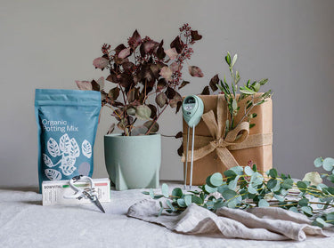 Plant Care Tools & Accessories - Leaf Envy