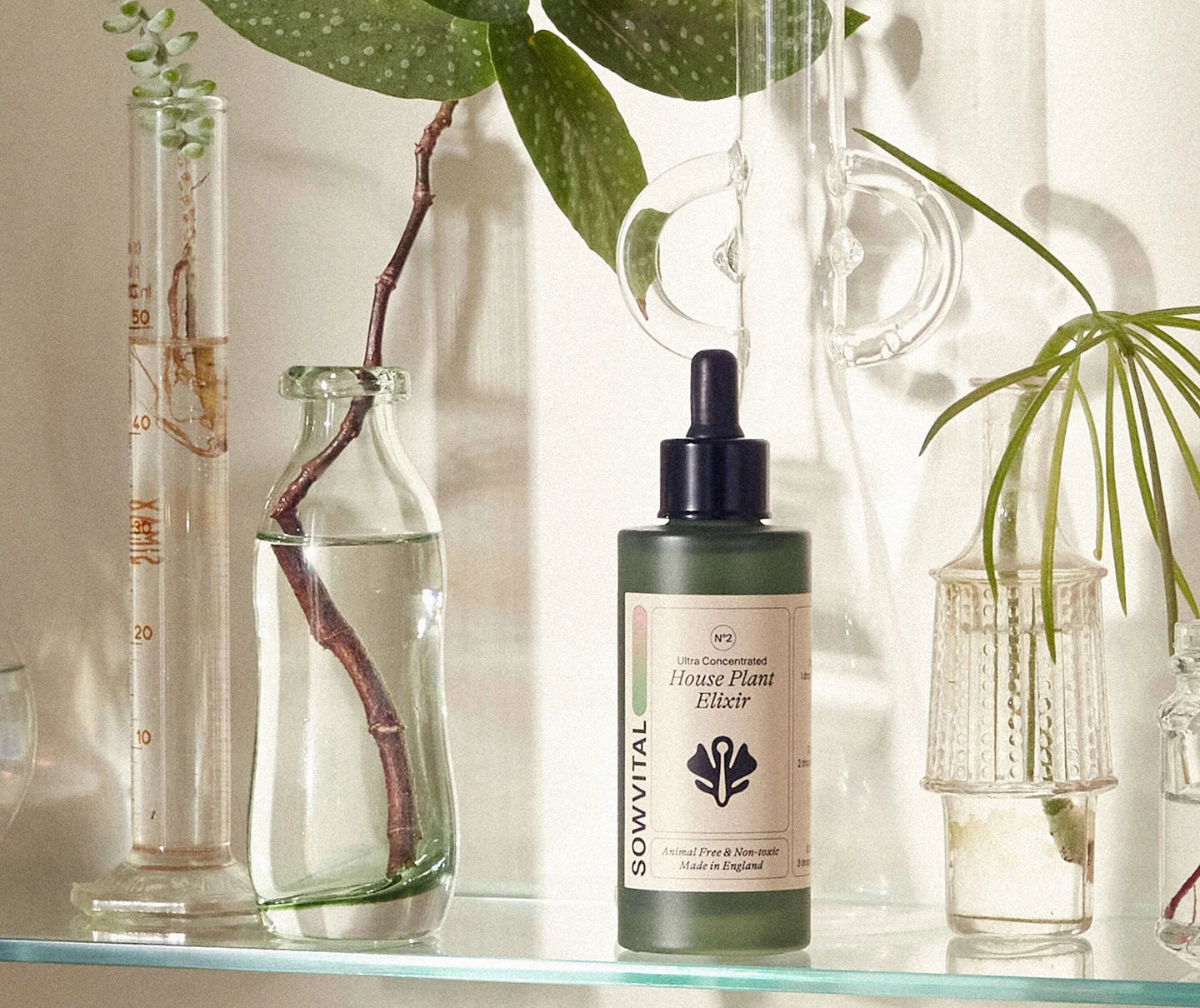 Unique Plant Care Accessories: Transform Your Green Space Today