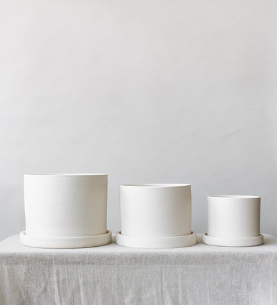 Dalston Chalk 19cm