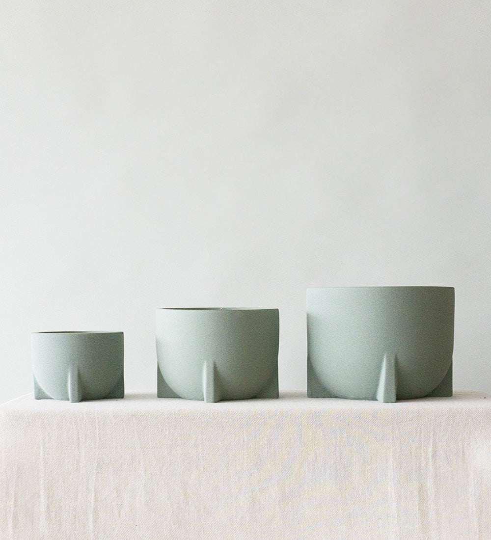 Windsor Sage 14cm
