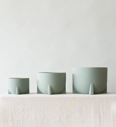 Windsor Sage 14cm