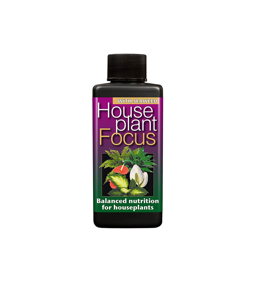 Houseplant Food