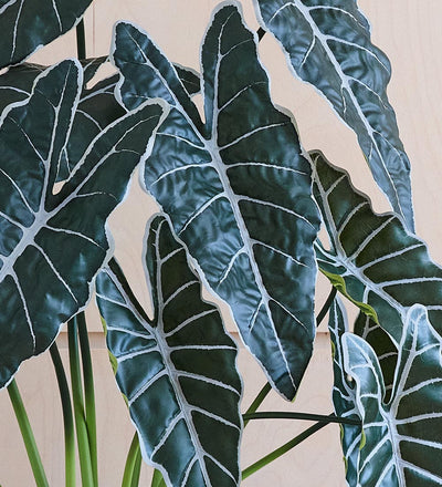 Artificial Alocasia Polly