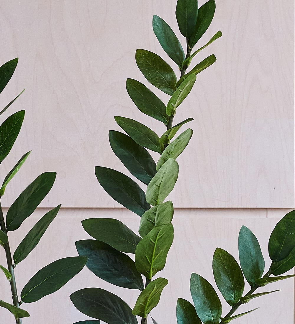 Artificial ZZ Plant (Tall)