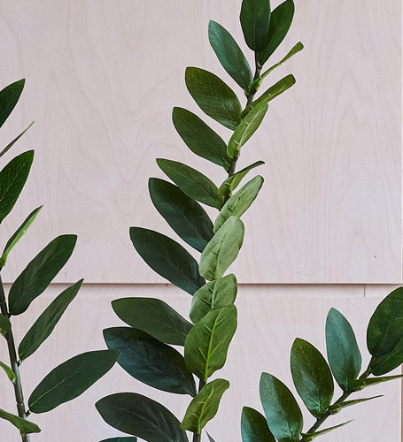 Artificial ZZ Plant (Tall)