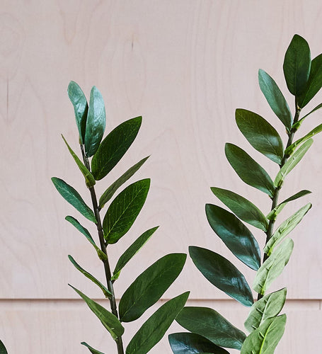 Artificial ZZ Plant (Tall)