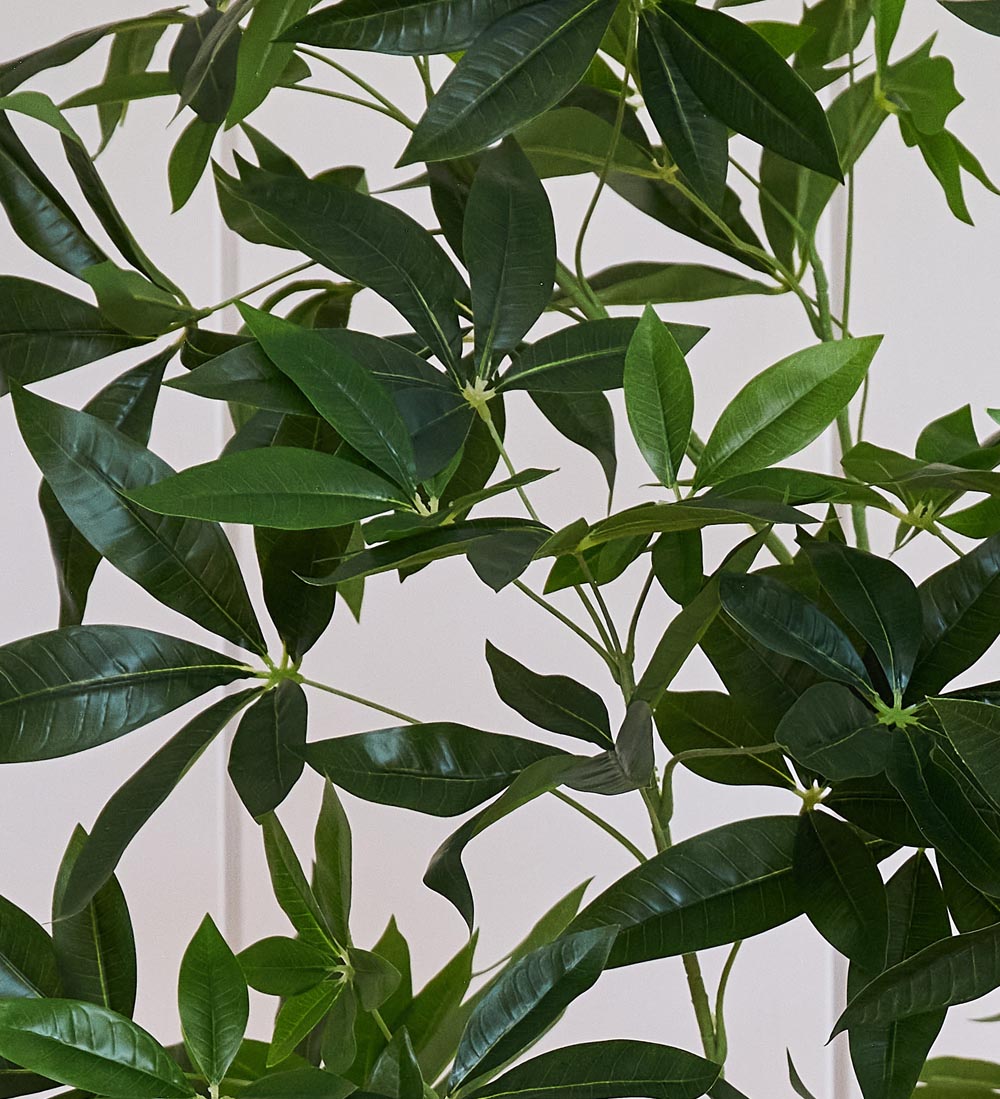 Artificial Pachira (Twisted Stem)