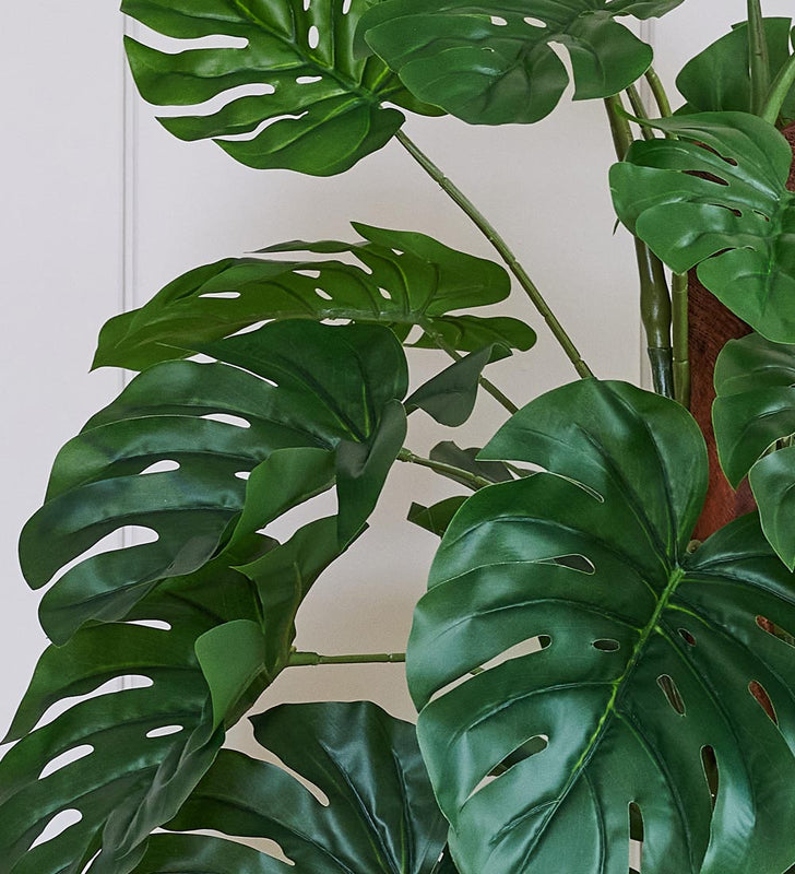 swiss cheese monstera moss pole Artificial Swiss Cheese Plant on Moss Pole