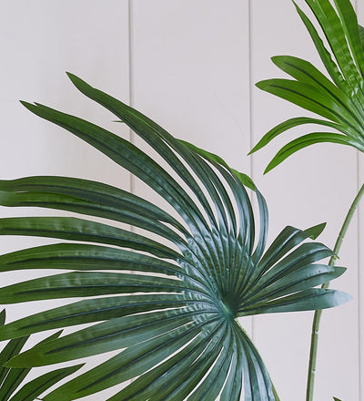 Artificial Livistona Palm