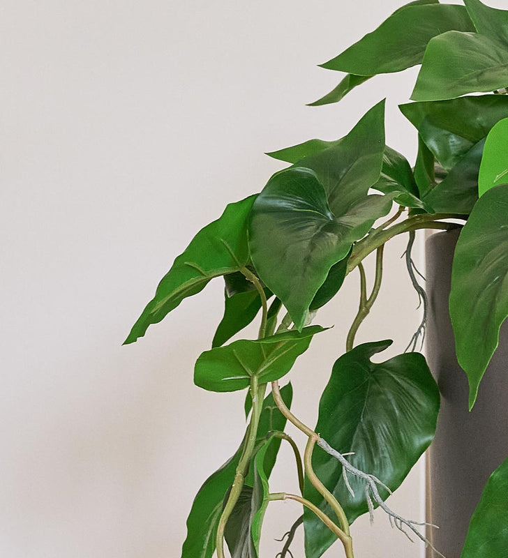 artificial philodendron Artificial Philodendron