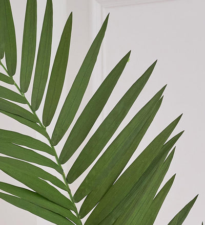 Artificial Kentia Palm