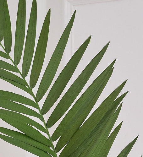 Artificial Kentia Palm