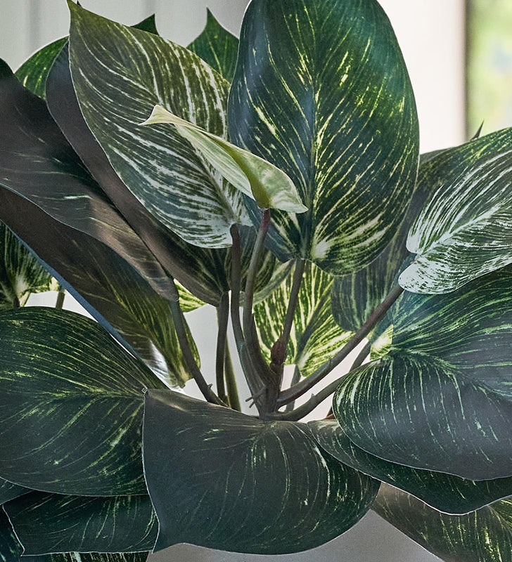 artificial pothos Artificial Pothos