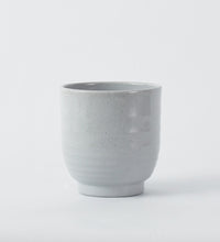 Grey Ares 14cm Pot Image