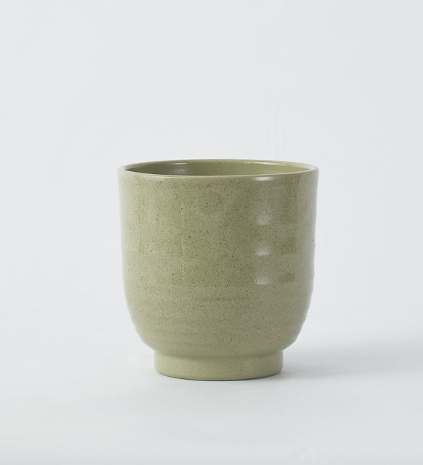 Green Ares 14cm Pot