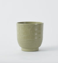 Green Ares 14cm Pot Image