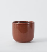 Old Pink Nine Gloss 14cm Pot Image