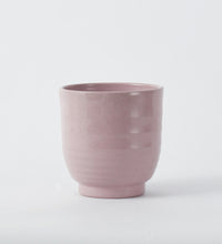 Pink Ares 14cm Pot Image