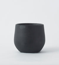 Black Isabel 15cm Pot Image