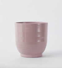 Pink Ares 19cm Pot Image