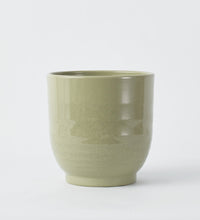 Green Ares 19cm Pot Image