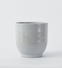 Grey Ares 19cm Pot Image