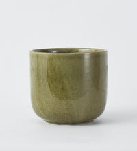 Olive Green Nine Gloss 19cm Pot Image