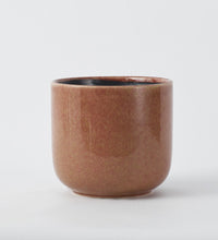 Caramel Nine Gloss 19cm Pot Image