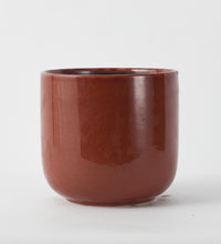 Old Pink Nine Gloss 19cm Pot Image