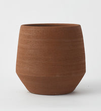 Terra Humus 20cm Pot Image