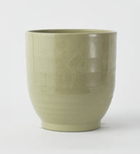 Green Ares 23cm Pot Image
