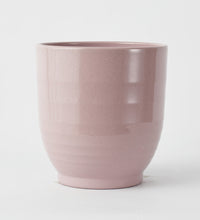 Pink Ares 23cmPot Image