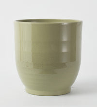Green Ares 27cm Pot Image