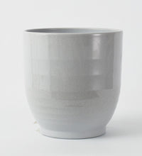 Grey Ares 27cm Pot Image