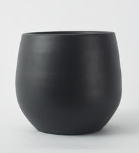 Black Isabel 26cm Pot Image