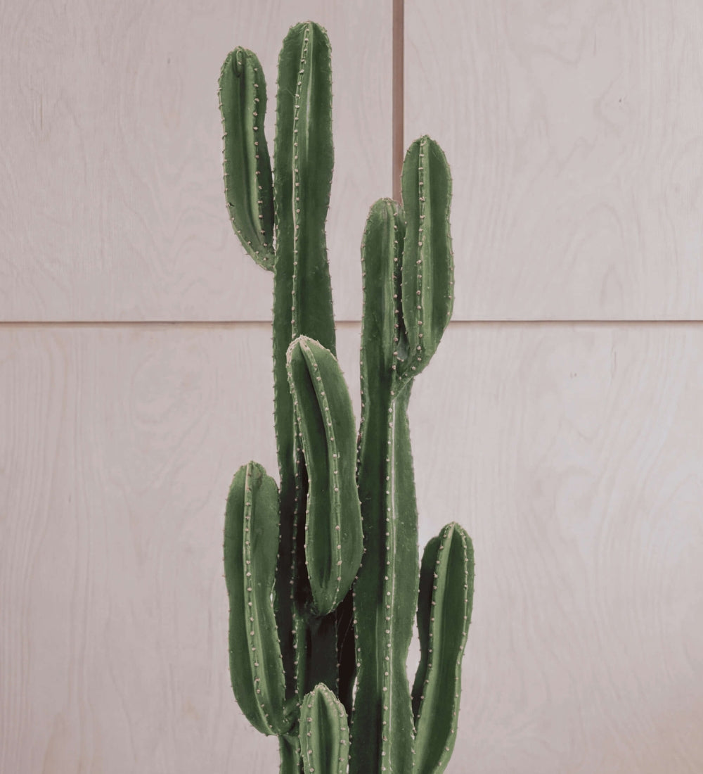Artificial Euphorbia Ingens Cactus