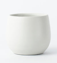 Warm Grey Isabel 31cm Pot Image