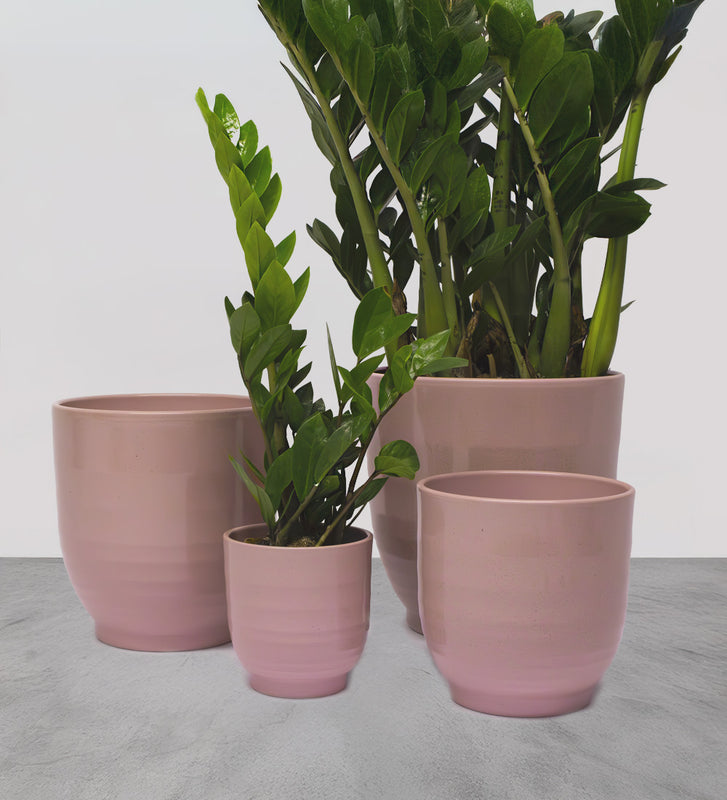 Pink Ares Pot