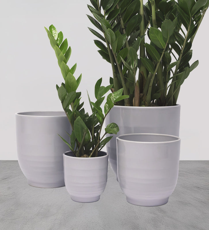 Grey Ares Pot