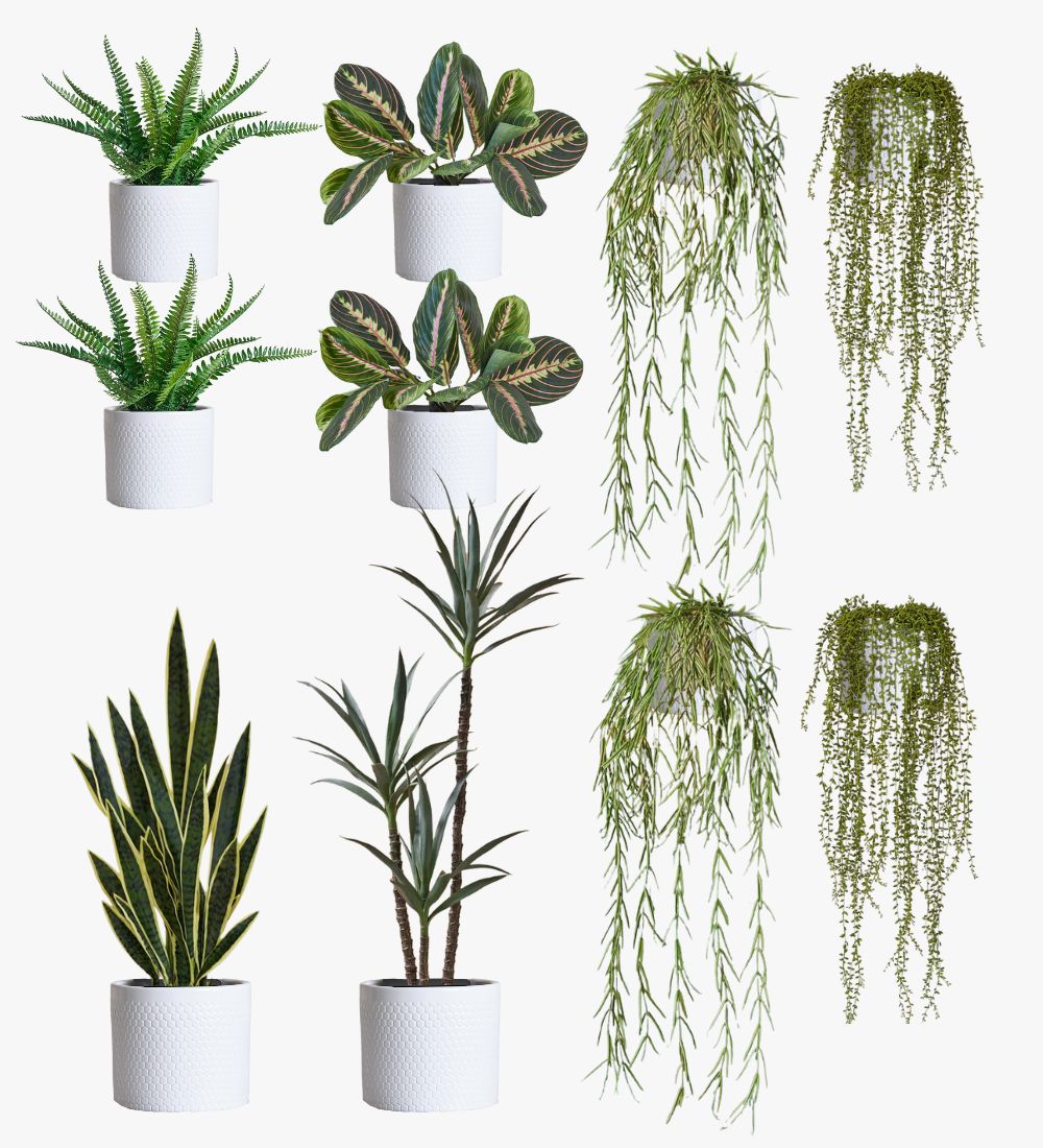 Artificial Cool Grey XL Bundle