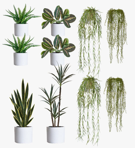 Artificial Cool Grey XL Bundle