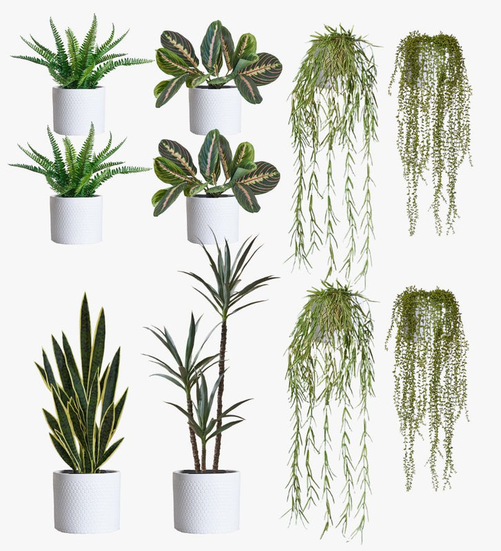 Artificial Cool Grey XL Bundle