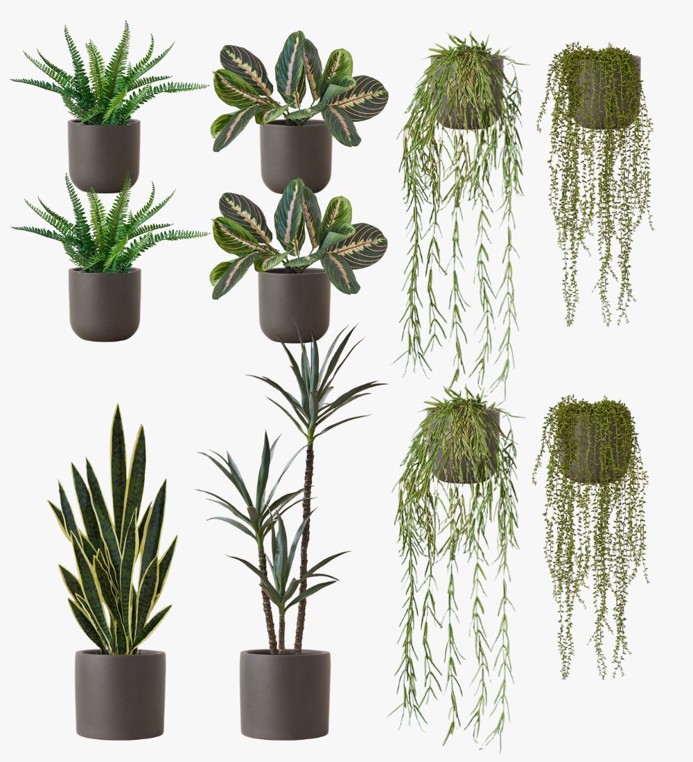 Artificial Graphite Earthenware XL Bundle