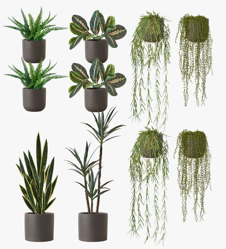 Artificial Graphite Earthenware XL Bundle