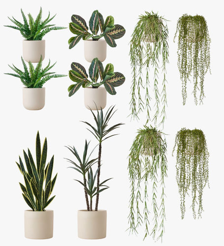 Artificial Oyster Earthenware XL Bundle