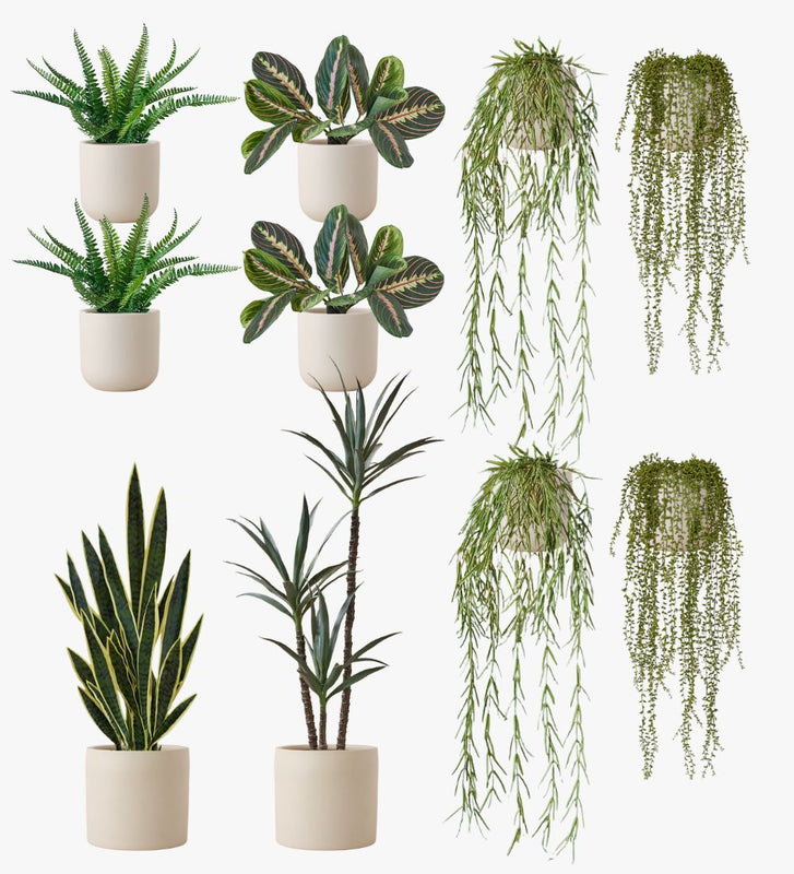 Artificial Oyster Earthenware XL Bundle