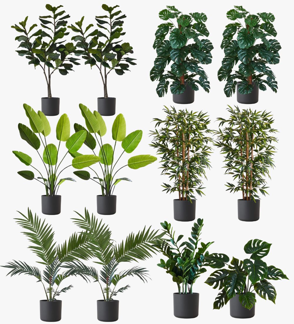 Artificial Graphite XL Bundle